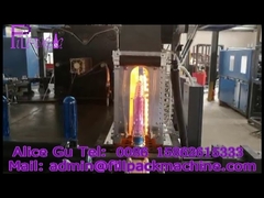 10L automatic 2 cavity PET bottle blow moulding machine