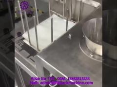 1910 J99 লিনিয়ার ব্যাগ ফিডিং তরল ভর্তি এবং সিলিং প্যাকেজিং মেশিন