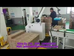 ২০৭৮ P6 মেকানিক্যাল হ্যান্ড সাকশন কাপ প্যালেটাইজার-২