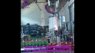2220 J118 ক্রাউন ক্যাপ স্বয়ংক্রিয় 6-হেড ক্যাপিং মেশিন