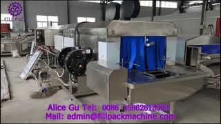 2153 U5 Straight-Line Plastic Crate Washer