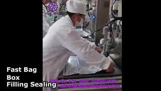 2108 L14 সেমি-অটোমেটিক সিঙ্গেল-হেড ব্যাগ-ইন-বক্স ফিলিং এবং সিলিং মেশিন